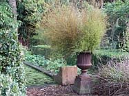 Uw tuin eind oktober, begin november