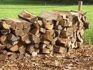 Uw tuin de derde week van november