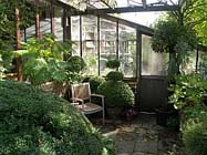 Tuintips voor de tweede week van februari