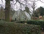 Tuintips voor de derde week van februari