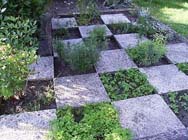 Een tuin met keukenkruiden