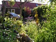 De belangrijkste voedingsstoffen in de bodem