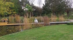 Planten zorgen voor een kleurrijk najaar