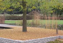 Tuintips voor eind september / begin oktober