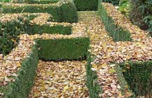 Tuintips voor de vierde week van oktober