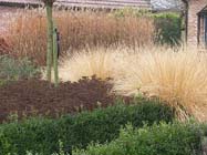 tuintips voor de tweede week van november