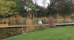 Tuintips voor de derde week van november