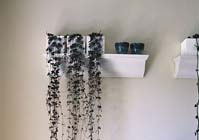 Hangplanten in de huiskamer