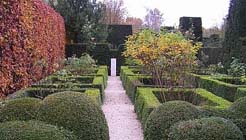 Tuintips voor de tweede week van december