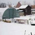 De moestuin in januari