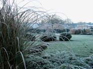 Tuintips voor de derde week van januari