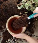 Compo lanceert bio-potgrond met Guano