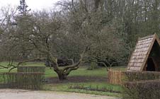 Tuintips voor eind januari en begin februari