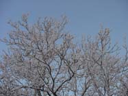 Weersverwachting voor de komende dagen