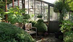 Tuintips voor de tweede week van februari