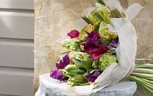 Tuintips voor de derde week van februari