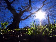 Weersverwachting voor de komende dagen