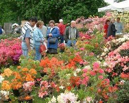 De Tuindagen van Beervelde op 8, 9 en 10 mei