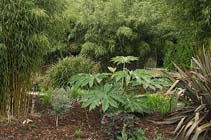 Tuintips voor eind juli en begin augustus