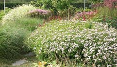 Tuintips voor de vierde week van september