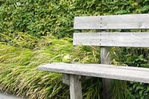 Tuintips voor de tweede week van oktober