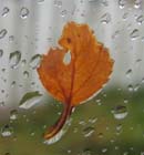 Weersverwachting voor de komende dagen