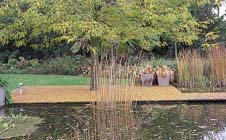 Tuintips voor de derde week van november