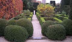 Tuintips voor de tweede week van december