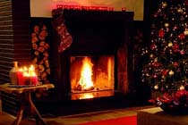 Tuintips voor de vierde week van december