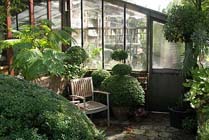 Tuintips voor de tweede week van februari