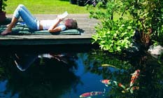 Tuintips: De vijver in de zomer