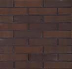 Eco-brick: de gevelsteen met een groene kant
