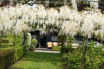 Mooiste tuin van België ligt in Sint-Pauwels