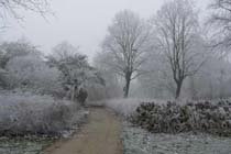 Weersverwachting voor de komende dagen