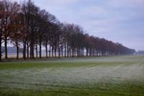 Weersverwachting voor de komende dagen