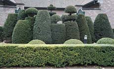 Tuintips voor de eerste week van maart