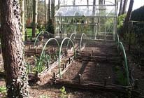 Tuintips: De moestuin in maart