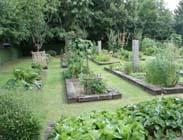 Tuintips voor de vierde week van juli