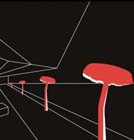 Infosessies Architecturaal en creatief spelen met licht