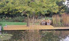Tuintips voor de derde week van november
