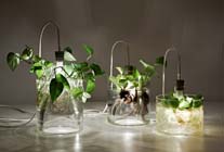 Vernieuwde Interieur Design Awards voorgesteld