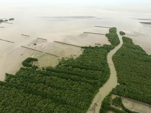 Vernufteling prijs voor Building with Nature