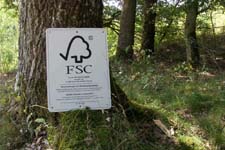 Op weg naar de eerste FSC gecertificeerde bossen in Wallonië