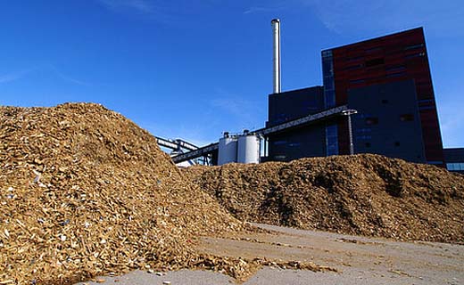 Eensluidend advies over grondstof biomassacentrale Langerlo