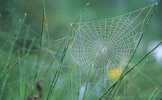 Tuintips-voor-de-derde-week-van-september