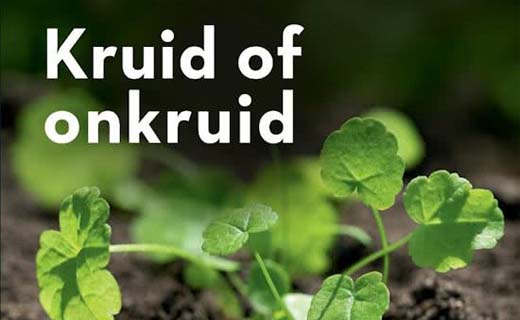 Kruid of onkruid