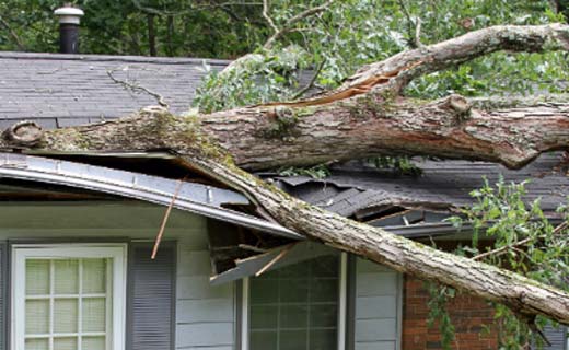 Stormschade-hoe-zit-het-met-de-verzekering