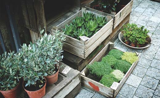 Je-tuin-klaarmaken-voor-het-voorjaar