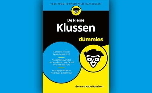 De kleine klussen voor Dummies