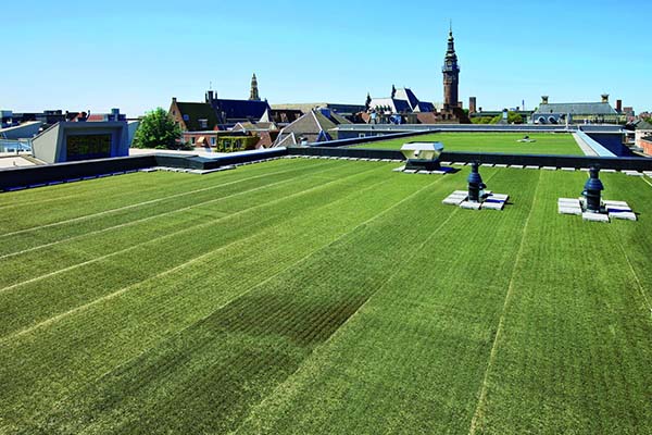 Een groendak zorgt voor een frisse en ecologische woning